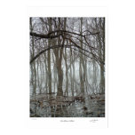 Ox-Bow Mist