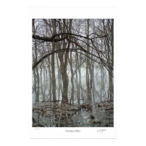 Ox-Bow Mist posters