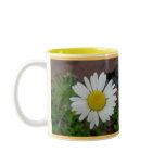 Ox-Eye Daisy 11 Oz Mug