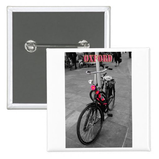 Oxford bike pin