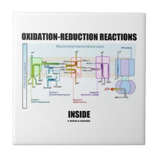 Oxidation-Reduction Reactions Inside