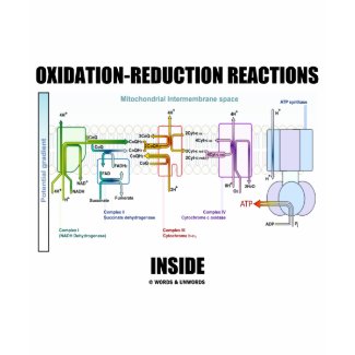 Oxidation-Reduction Reactions Inside shirt