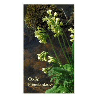 Oxlip wildflowers Horticultural business card