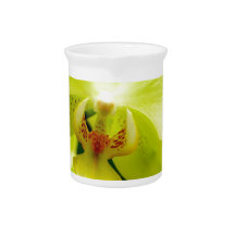 Oxygentees Floral Life Pitcher