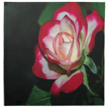 Oxygentees Floratopia Napkins
