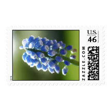 OXYGENTEES POSTAGE