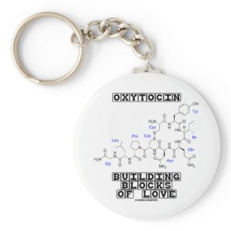 Oxytocin Building Blocks Of Love (Chemistry) keychain