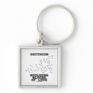 Oxytocin Building Blocks Of Love (Chemistry) keychain
