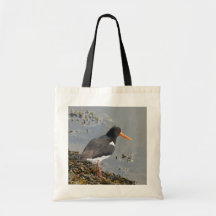 Oystercatcher Budget Tote Bag