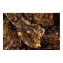 oysters posters