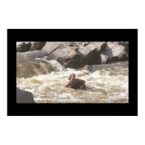 Ozark Whitewater Tuber posters by dancytron Ozark Whitewater Tuber posters