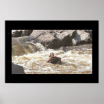 Ozark Whitewater Tuber posters
