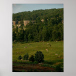 Ozarks 22 posters