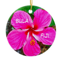 P0000104_lzn, bula, fiji christmas ornaments