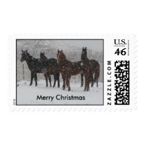 P1010060, Merry Christmas postage