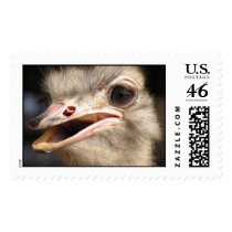 P1010155 postage by happyhank P1010155 postage