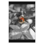 P1016694-1, G.T. DESIGNS~Stationary Stationery