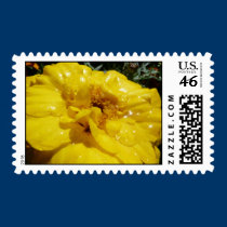 P1040471 postage