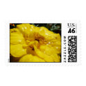 P1040471 postage