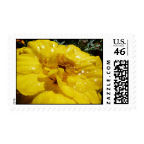 P1040471 postage