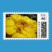 P1040471 stamps