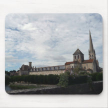 P1050789 a mouse mats