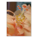 P1090046 cards