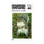P1140065 POSTAGE