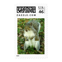 P1140065 POSTAGE