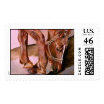 P4141870 STAMP