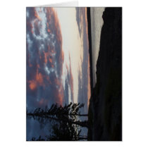 P4240029 GREETING CARDS
