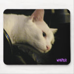 P5030155, wyspur mousepads
