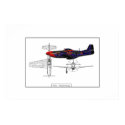 P51 Mustang 01 posters by BeatrizC P51 Mustang 01 posters