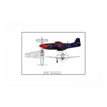 P51 Mustang 01 posters