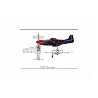 P51 Mustang 01 Posters by BeatrizC