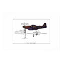 P51 Mustang posters by BeatrizC P51 Mustang posters