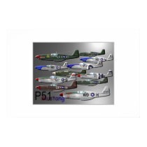 P51 Mustang posters