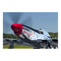 P51 posters by captainifr P51 posters