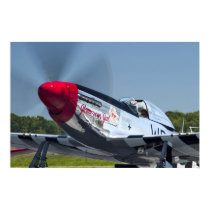 P51 posters by captainifr P51 posters