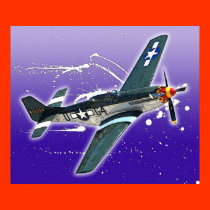 p51 posters