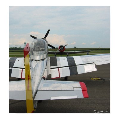 P51 vs. T6 Print by scooter4242