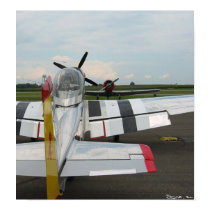 P51 vs. T6 posters