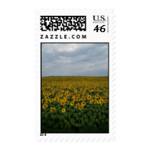 P7240025 postage