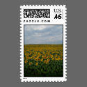 P7240025 postage by customthreads P7240025 postage