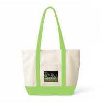 P8070077 CANVAS BAGS