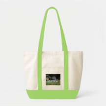 P8070077 CANVAS BAGS