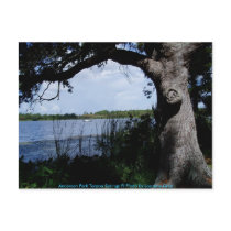 P9150069, Anderson Park Tarpon Springs Fl Photo... postcards by lorainy P9150069, Anderson Park Tarpon Springs Fl Photo... postcards
