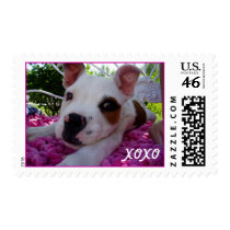 P9210478, XOXO postage
