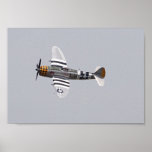 P-47 Thunderbolt Print