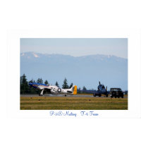 P-51D Mustang meets T-6 Texan posters